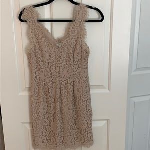 Joie lace mauve dress